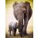 Eurographics Elephant & Baby 1000 Pieces