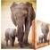 Eurographics Elephant & Baby 1000 Pieces