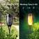 LQWELL Flashlight Black Pollare 34cm 8st