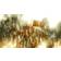 Final Fantasy Type-0 HD Sony PlayStation 4 RPG