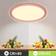 LQWELL Modern Pink Takplafond ∅ 22cm