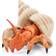 Papo Hermit Crab 56054