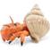 Papo Hermit Crab 56054