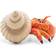 Papo Hermit Crab 56054