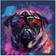 Warren Reed Vibrant Pug in Sunglasses Splash Guard 60cm