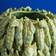 WERNS Peas Bulbous Green Vas 31.5cm