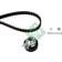 INA Timing Belt Kit 530016610 Set