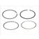 Mahle Piston Ring Kit 015 61 N0