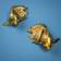 WERNS Goldfish Gold Prydnadsfigur 27cm