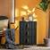 SoBuy Nightstand FBT115-L-SCH Black Sängbord 40x40cm