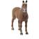Schleich Morgan Horse Stallion 13869