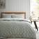Catherine Lansfield Brushed Polka Dot Cotton Reversible Set - Duvet Cover Green