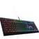 Razer Cynosa V2 (English)