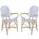 Safavieh Hooper 2-pack Garden Dining Chair