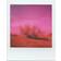 Polaroid Go Color Filter Set