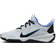 Nike Omni Multi Court Hallenschuhe - Grau