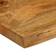 vidaXL 370774 Natural Table Top 40x40cm