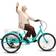 Tricycles 7 Speed Adult Trikes 24" 3 Wheel Cruise Bikes Blue