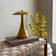 Dyberg Larsen Vienna Curry Table Lamp 23.5cm