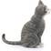 Schleich Cat Sitting 13771