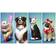 The Sims 4: Cats and Dogs Bundle (XOne)