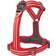 Dog Copenhagen Comfort Walk Air Harness L