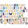 Micki Bluey Magnetic Letters & Figures