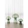 Globen Lighting Fungo Special Edition Green Bordslampa 42cm
