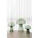 Globen Lighting Fungo Special Edition Green Table Lamp 42cm