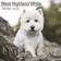 Avonside 2025 West Highland Terrier Dog Wall Calendar