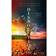 Dissolution (Paperback)
