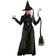 California Costumes Gothic witch wicked wizardess sorceress enchantress halloween womens