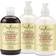SheaMoisture Jamaican Black Castor Oil Strengthen Shampoo 384 Ml