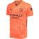 Puma Manchester City Goalkeeper Jersey 2024/25