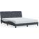 vidaXL Velvet Sengeramme 165x218cm