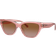 Coach Ch570 Sunglasses - Pink/Brown/Transparant