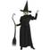 Jerry Leigh Wizard of Oz Adult Wicked Witch Costume Movie Costumes