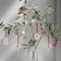 Holmegaard Christmas Heart 2024 Transparent Juletrepynt 8cm