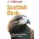 Scottish Birds (Häftad, 2006)