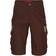 Molecule Cruisers Cargo Shorts - Brun