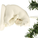 Department 56 Snow Babies Big Bear Hug White Christmas Tree Ornament 8.3cm