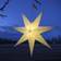Star Trading Alice White Julstjärna 60cm