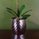 Leaf Phalaenopsis Dark Pink/Silver Artificial Plant