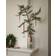 Georg Jensen 2024 Star Brass