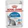 Royal Canin Indoor Jelly