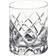 Orrefors Sofiero Whiskey Glass 8.454fl oz