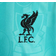 Nike Youth Liverpool FC 2024 Teal Prematch Jersey