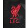 Nike Kids' Liverpool F.C. Academy Pro Third Dri-Fit Football Pre-Match Top