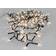 Star Trading Crispy Ice Black String Light 360 Lamps