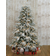 Empress Pre Lit Green/White Christmas Tree 195cm
